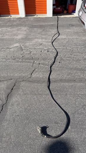 Heavy-Duty Outdoor Extension Cable